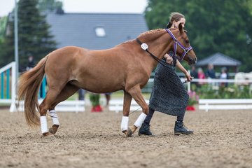 Bild 148 - Pony Akademie Turnier
